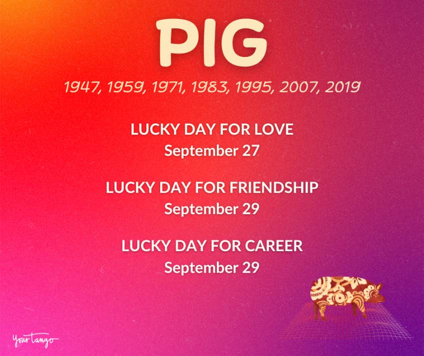 pig chinese zodiac sign horoscope september 2024