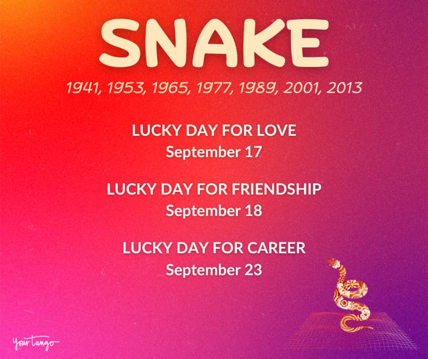 snake chinese zodiac sign horoscope september 2024