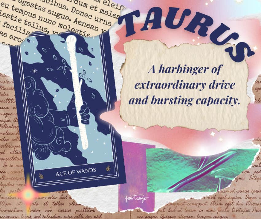 taurus monthly tarot horoscope september 2024