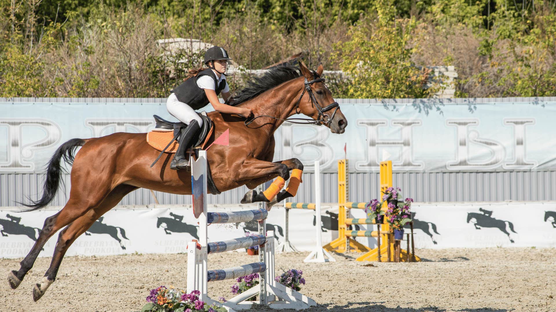 equestrian jumping over obstacle