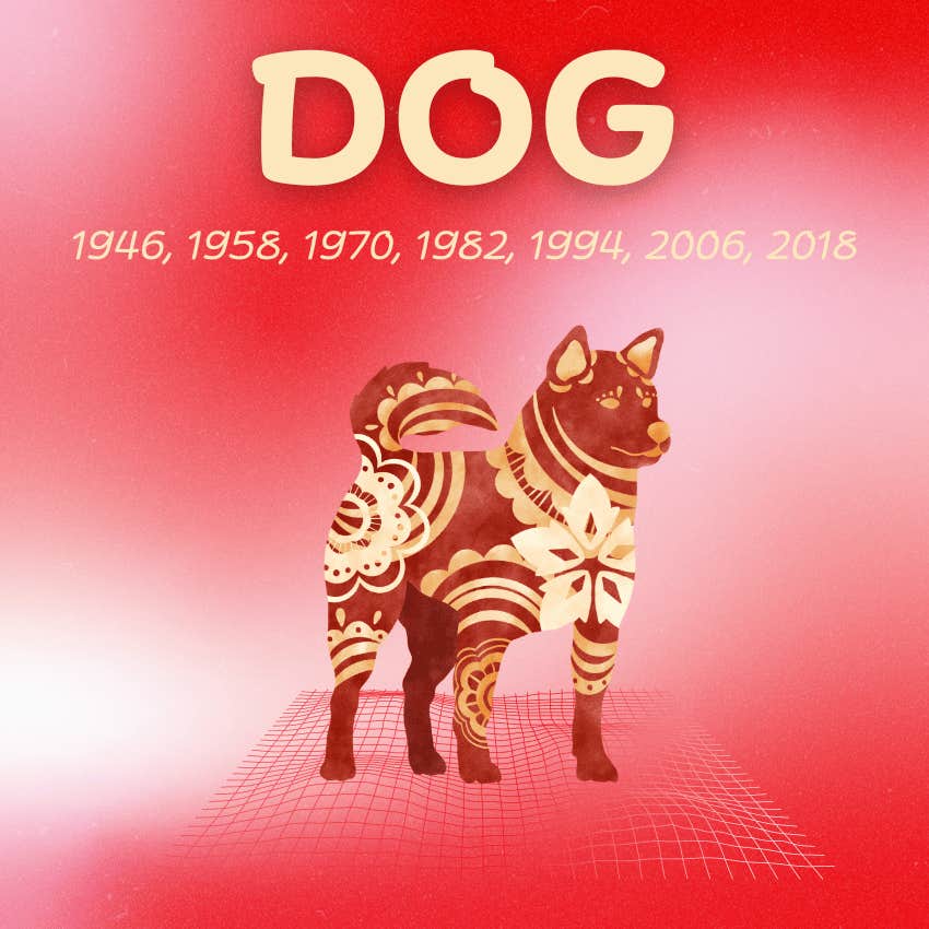 dog chinese zodiac signs luckiest day month october 2024