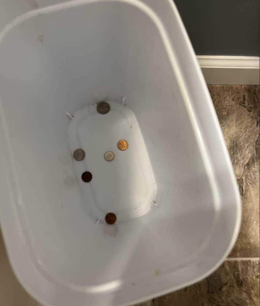 Father Concerned Because His Son Throws Coins In The Trash Reddit Photo