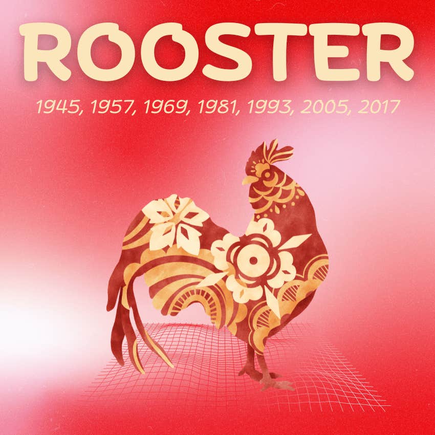 luck improves rooster chinese zodiac sign september 30 - october 6