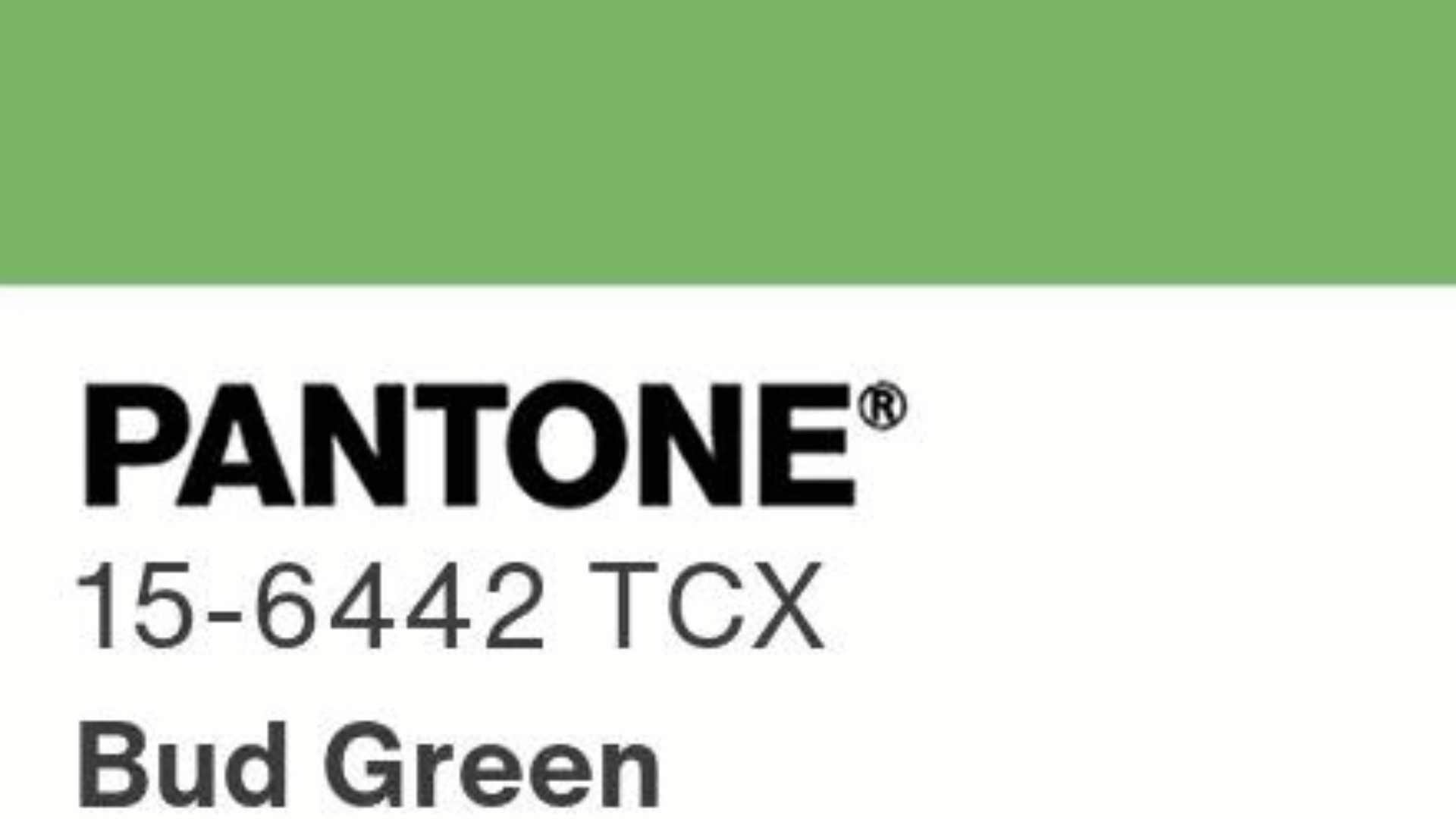 may pantone