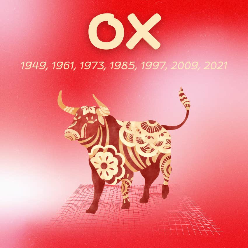 ox chinese zodiac signs luckiest day month october 2024