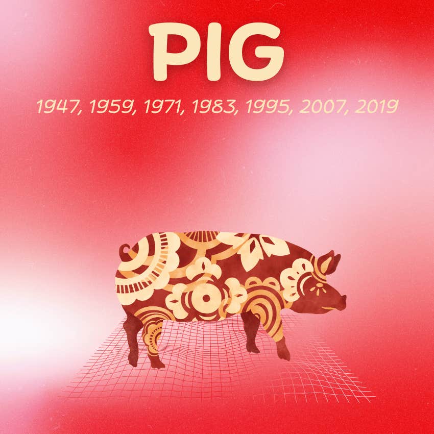 pig chinese zodiac signs luckiest day month october 2024