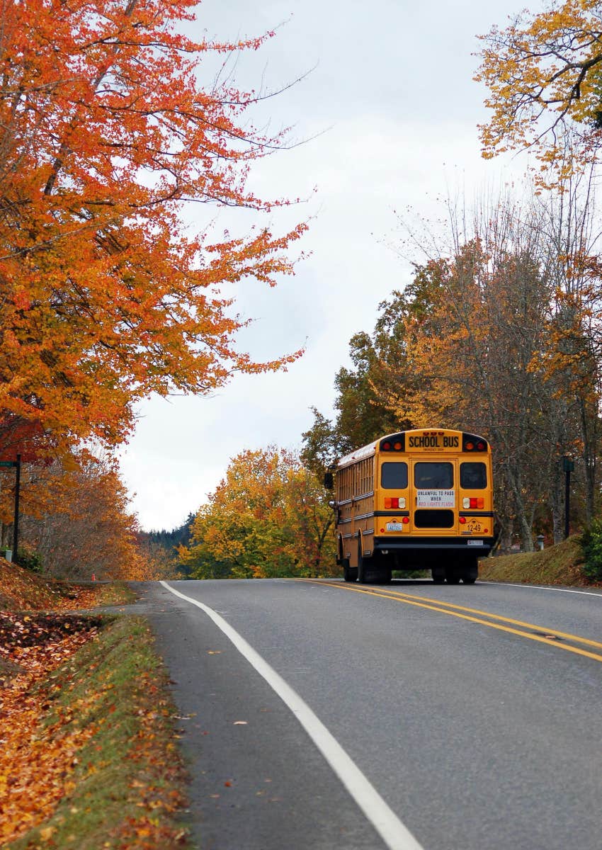 school bus driving down road in opposite direction