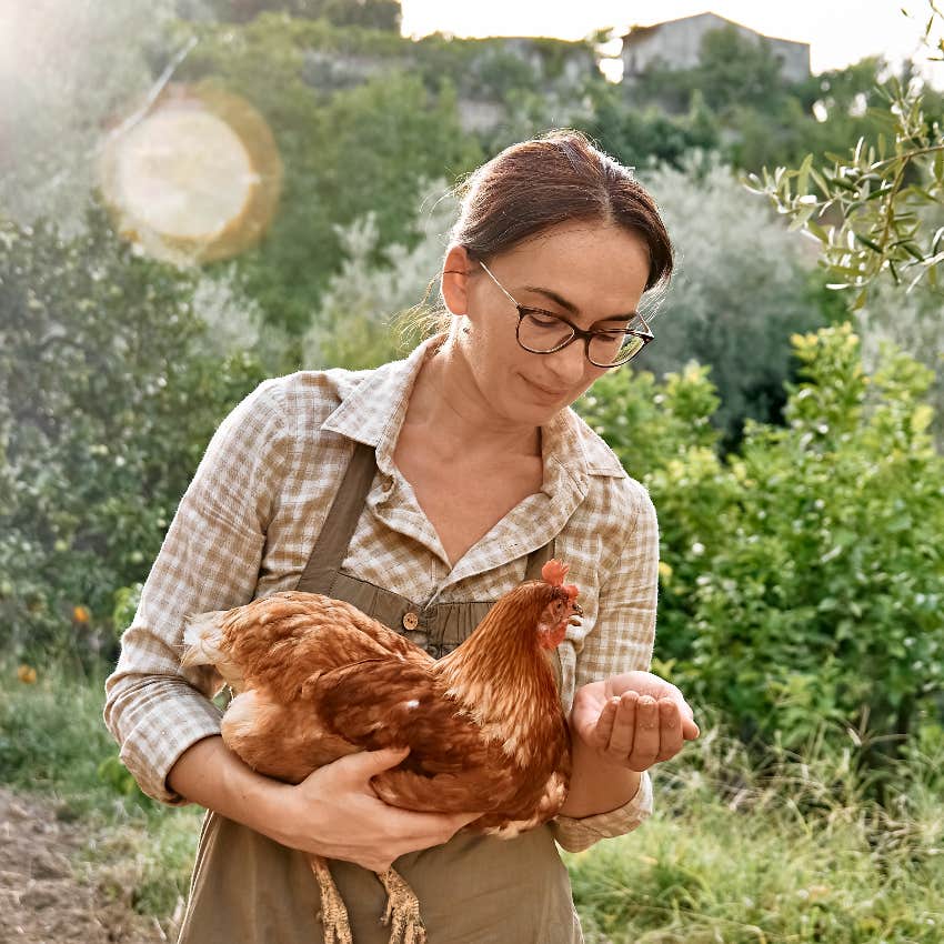 Woman feeding chicken