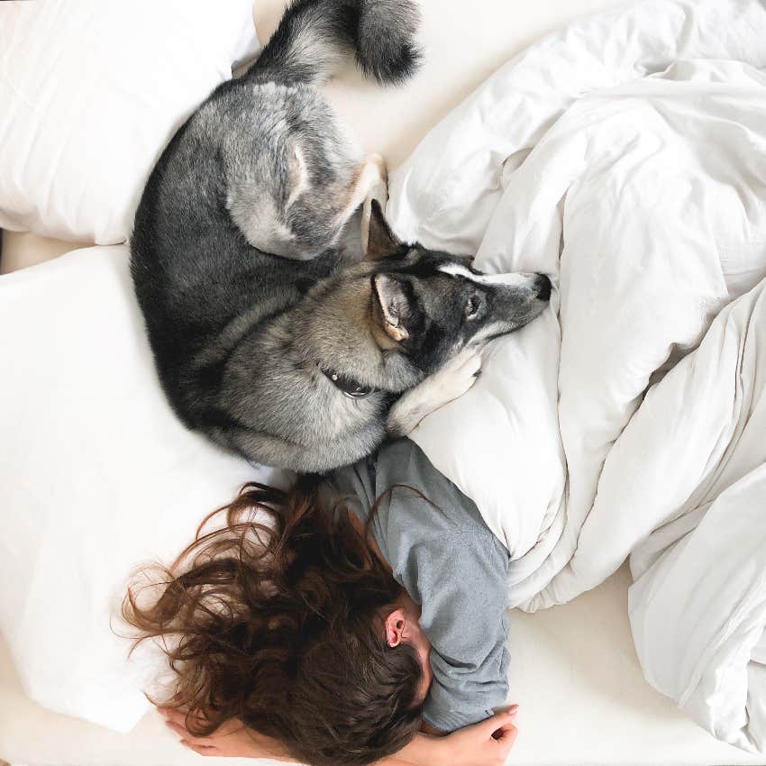 Dog taking up space in bed