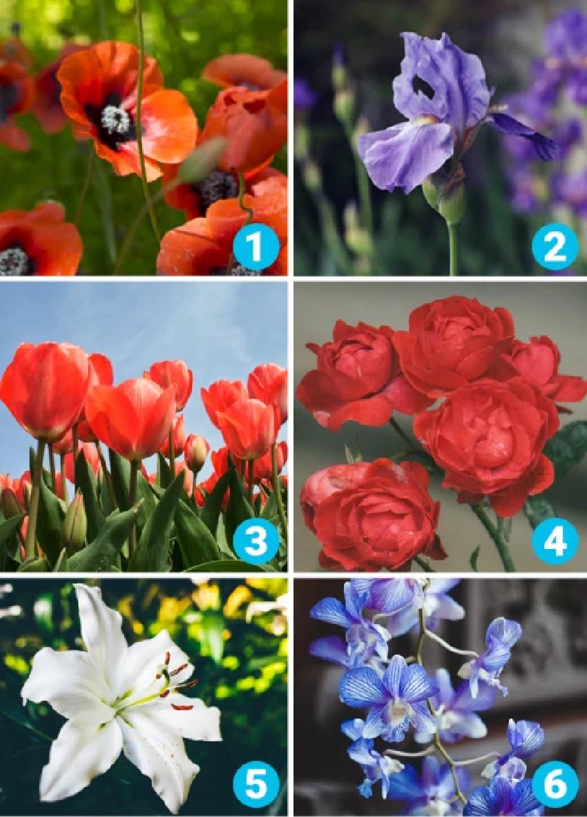 favorite flower personality test part one