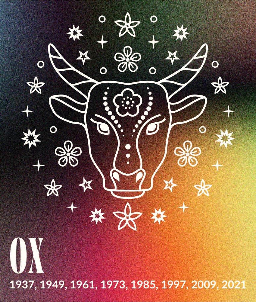 ox chinese zodiac sign attracting luck november 4-10, 2024