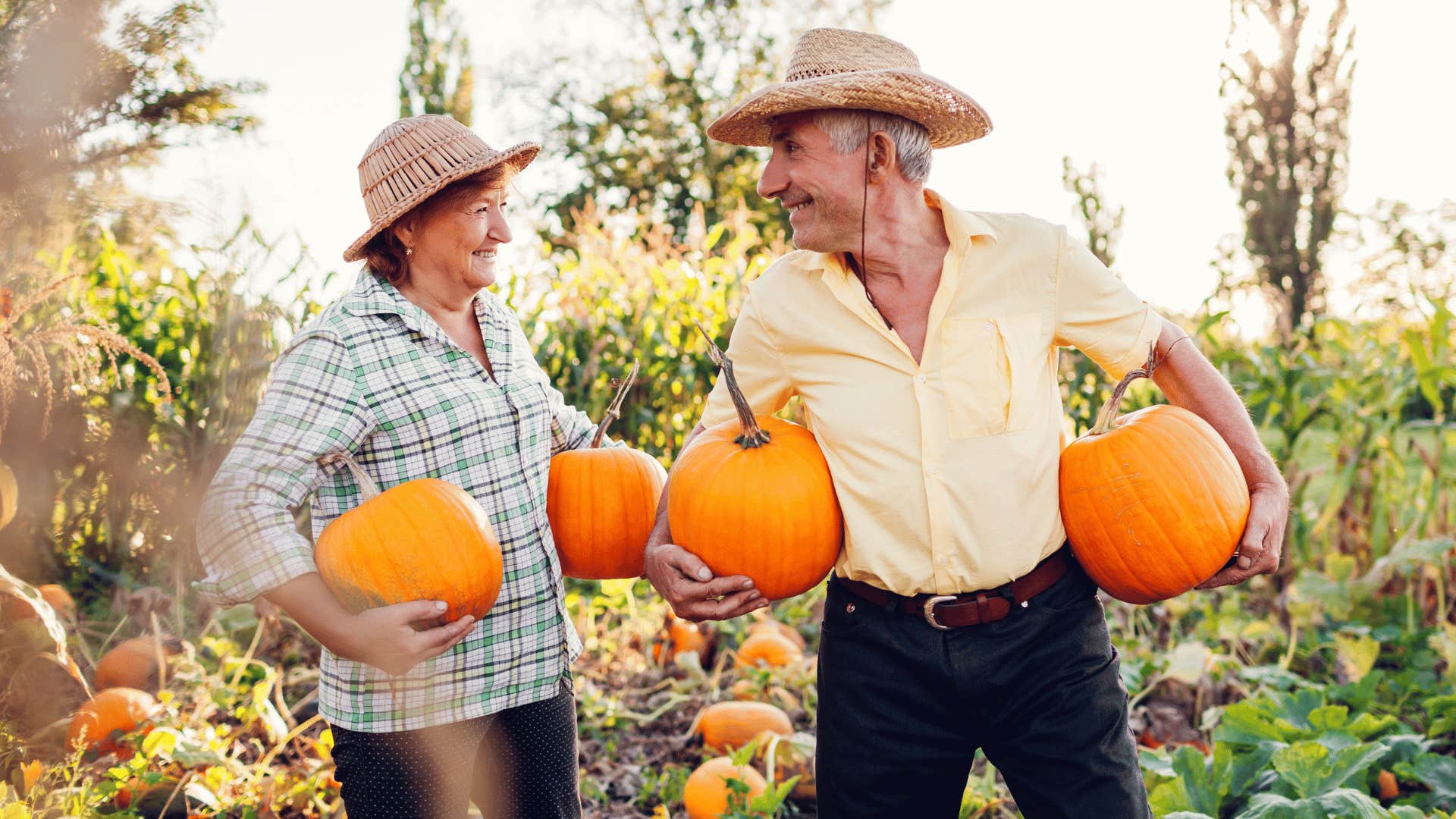 older couple pumpkin picking