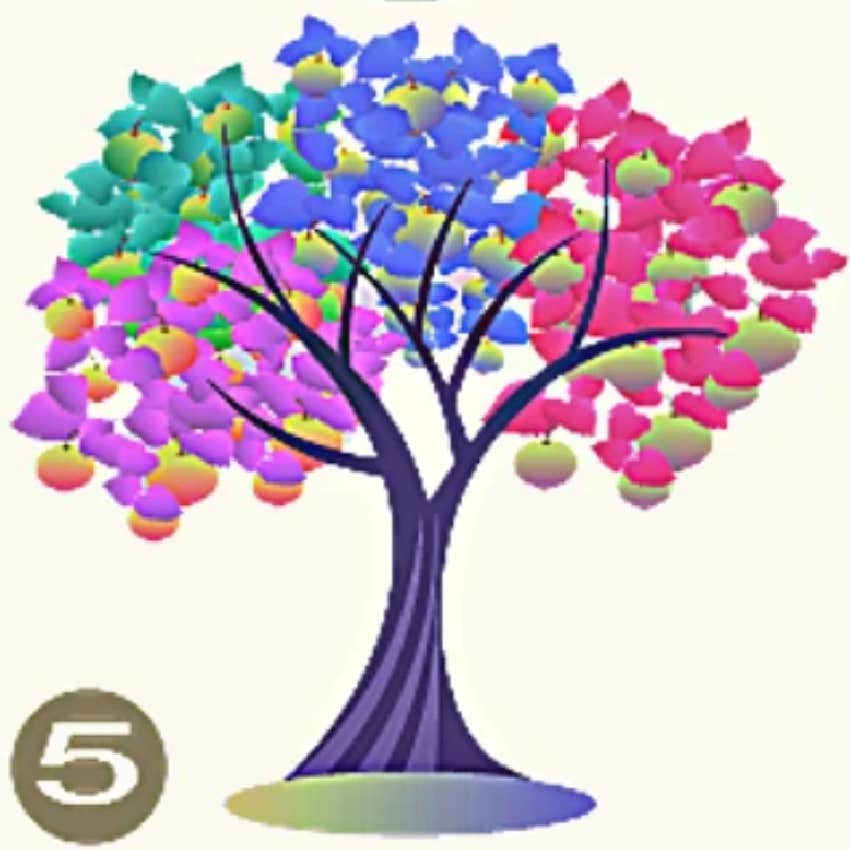 pick a tree personality test 5