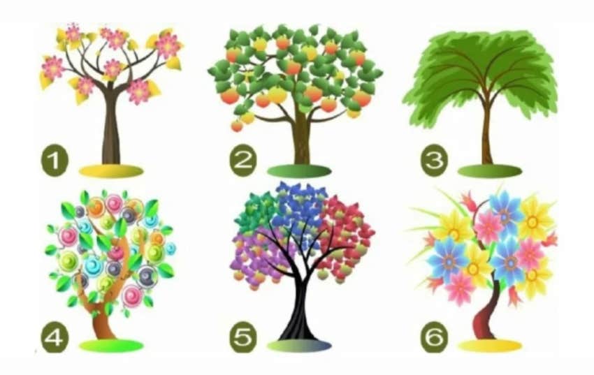 pick a tree personality test