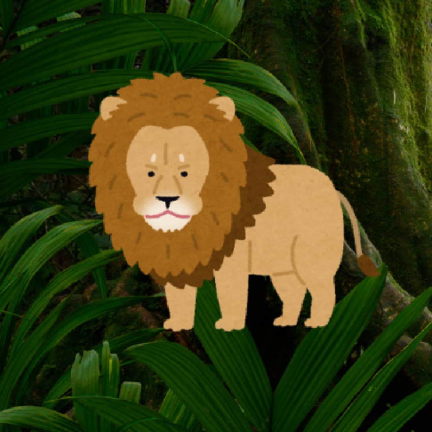 rainforest personality test lion