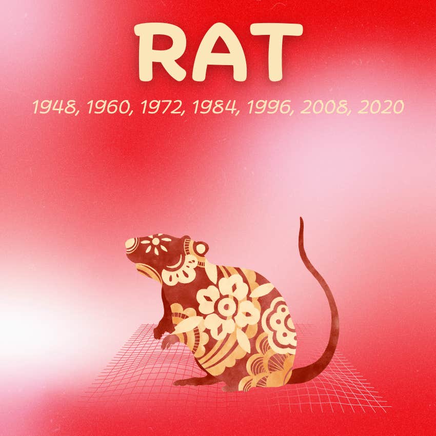 rat monthly horoscopes chinese zodiac signs november 2024