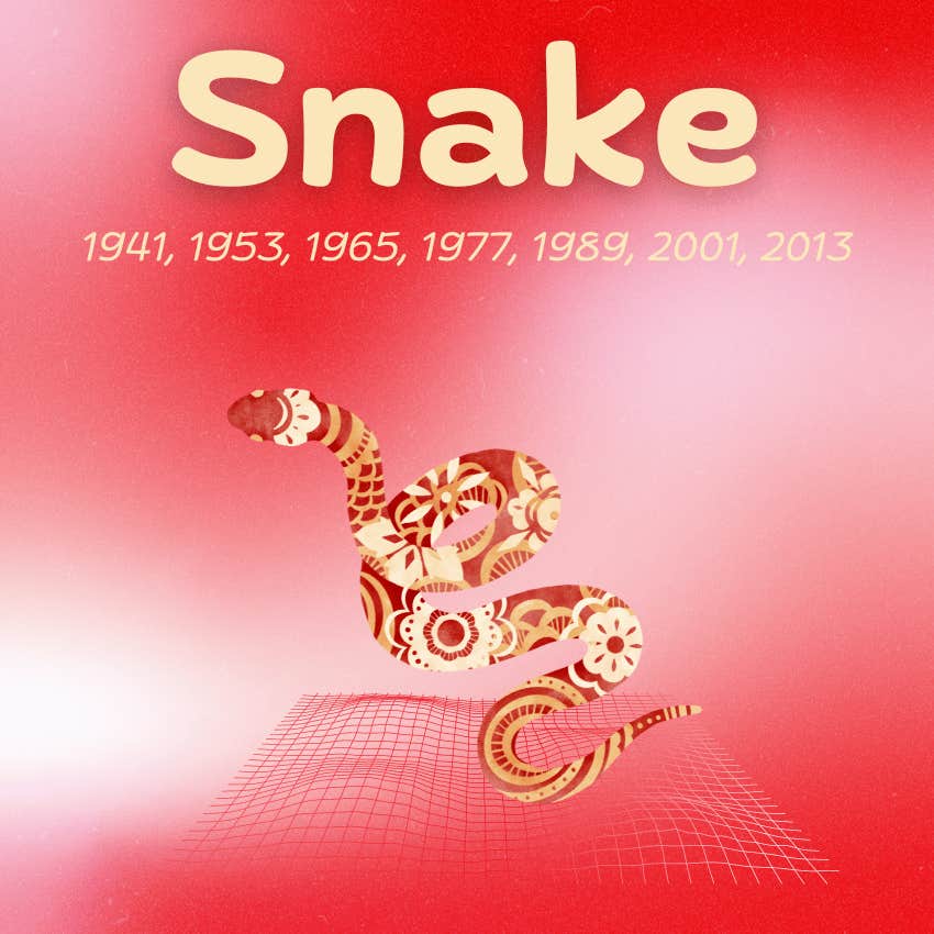 snake monthly horoscopes chinese zodiac signs november 2024