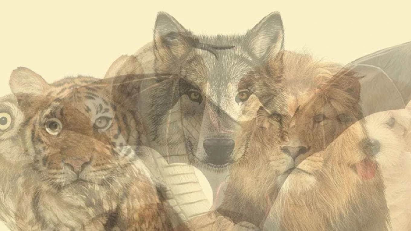 image of spirit animals for personality test