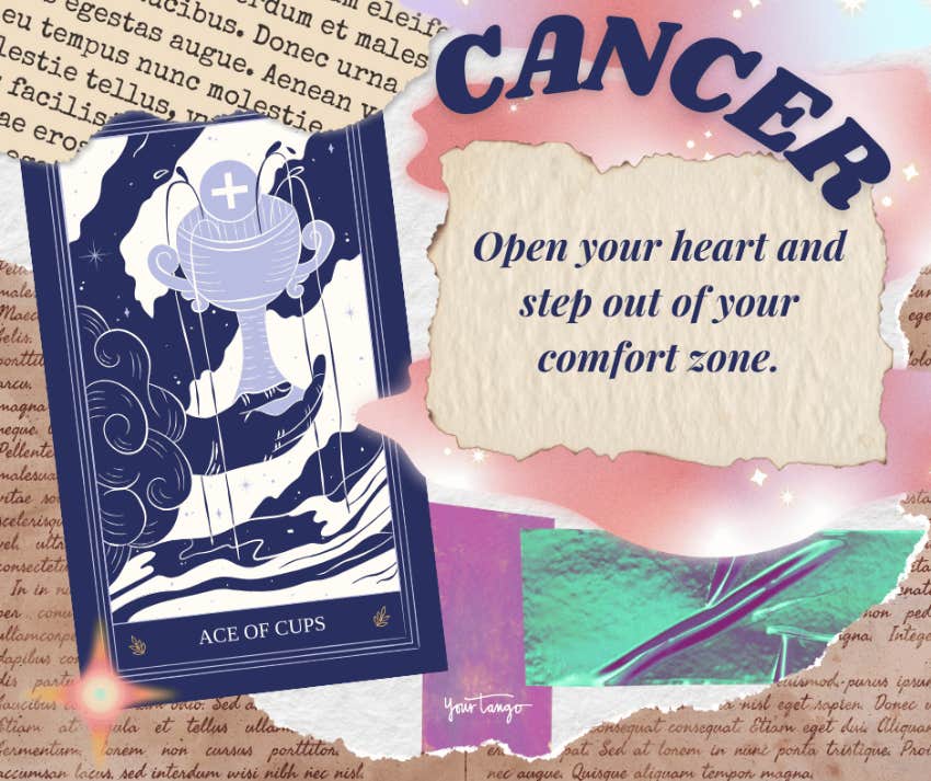 cancer tarot horoscope november 2024 ace of cups