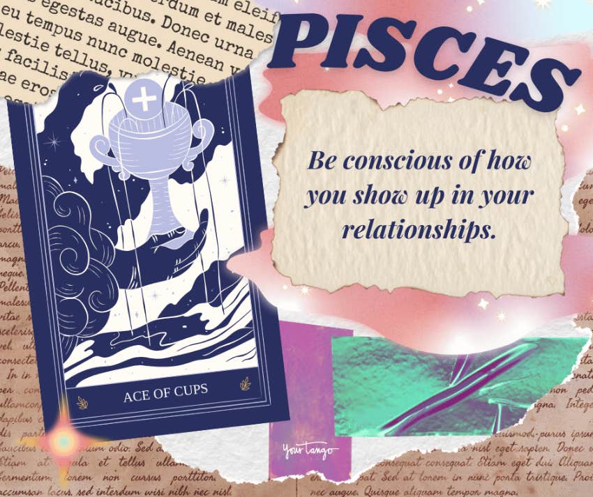 pisces tarot horoscope november 2024 ace of cups