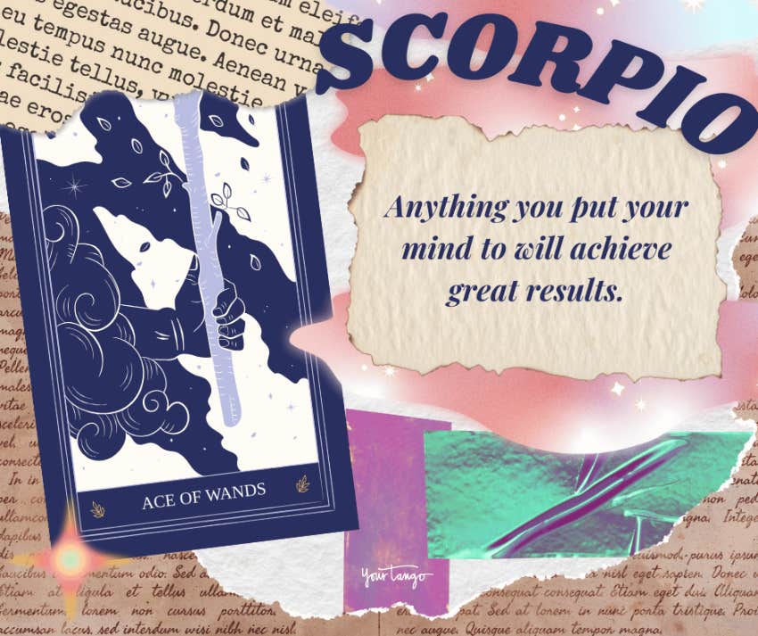 scorpio tarot horoscope november 2024 ace of wands