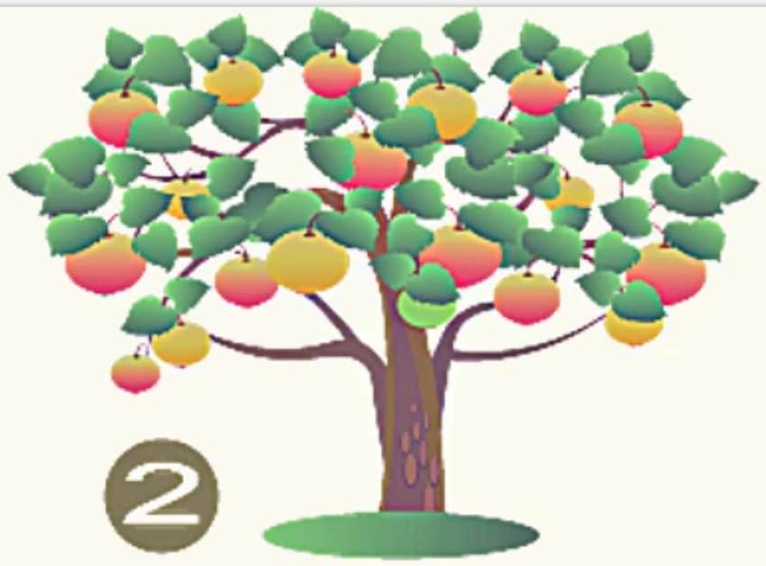 pick a tree personality test 2