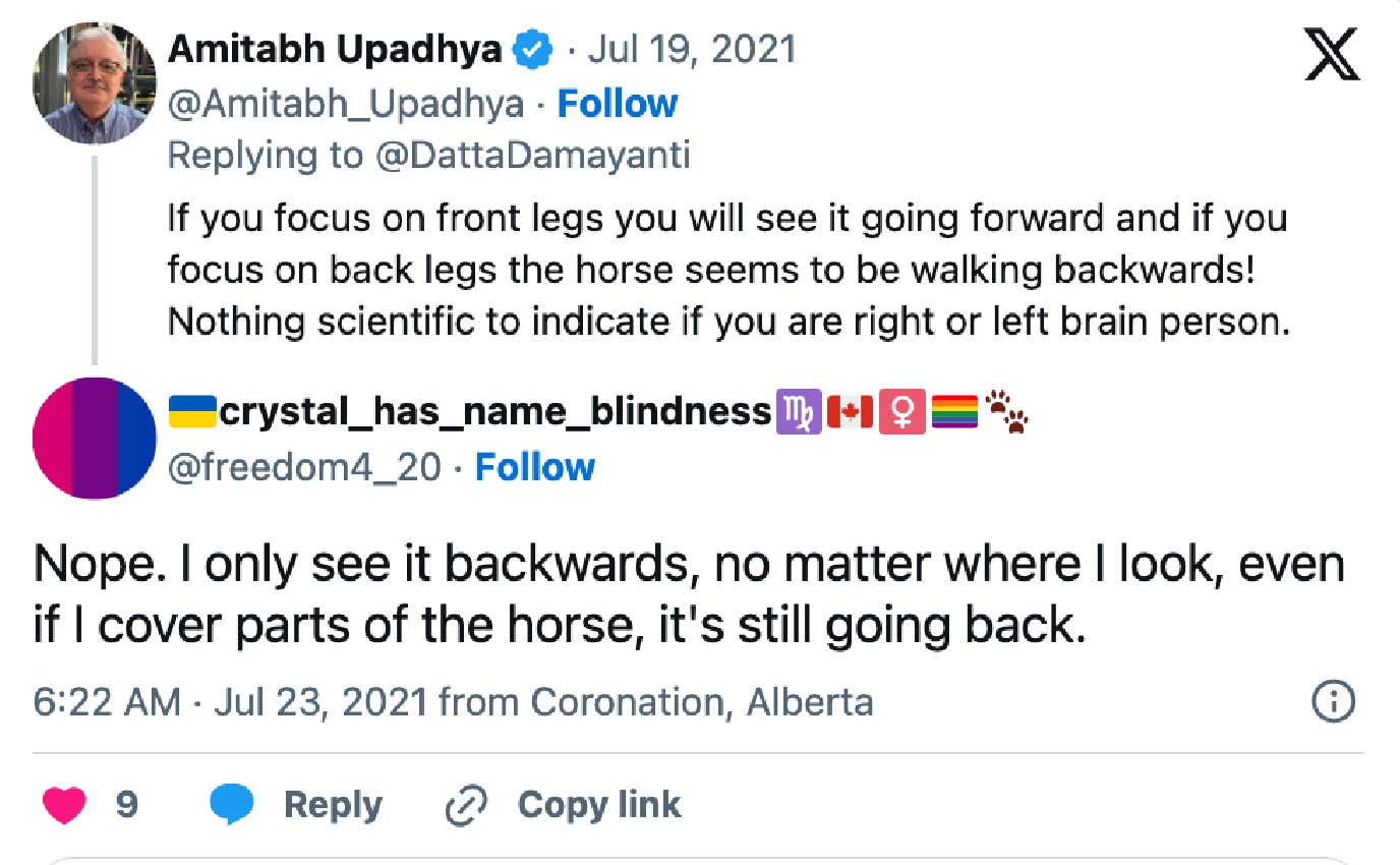 Tweet about horse going forward or backward gif