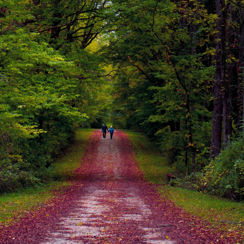 walk in the woods test who are you walking with