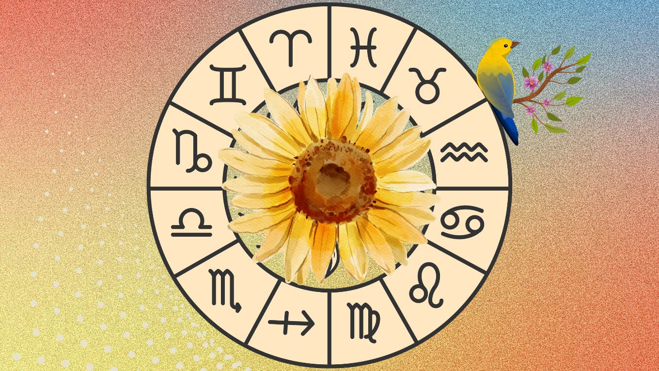 Horoscope For Each Zodiac Sign On November 23, 2024