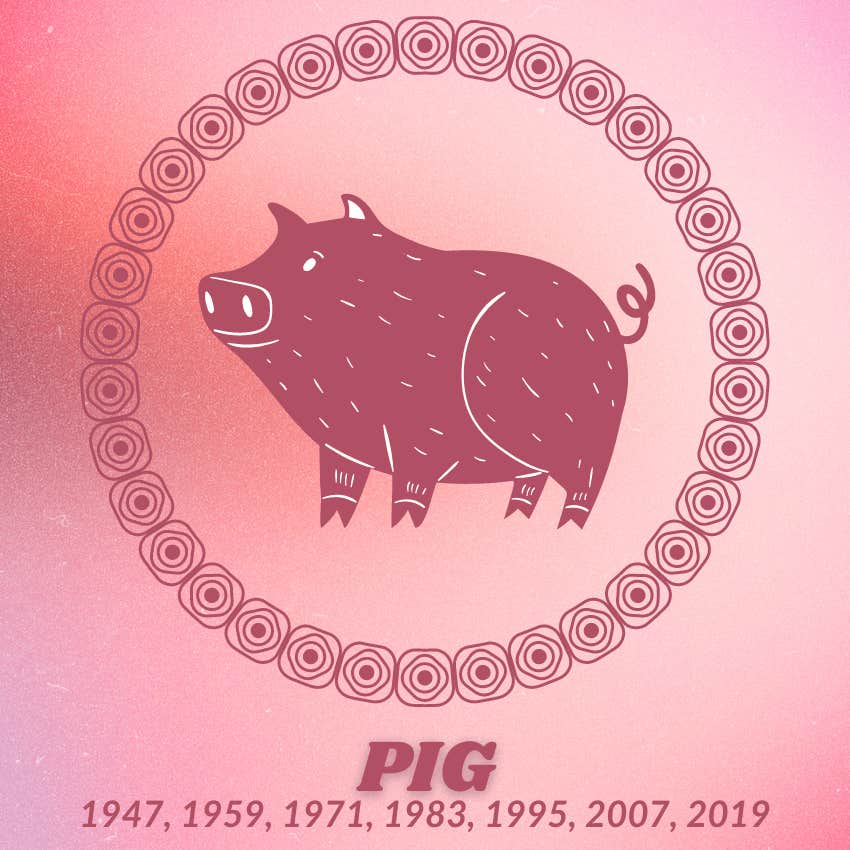 pig chinese zodiac signs luckiest day december 2024