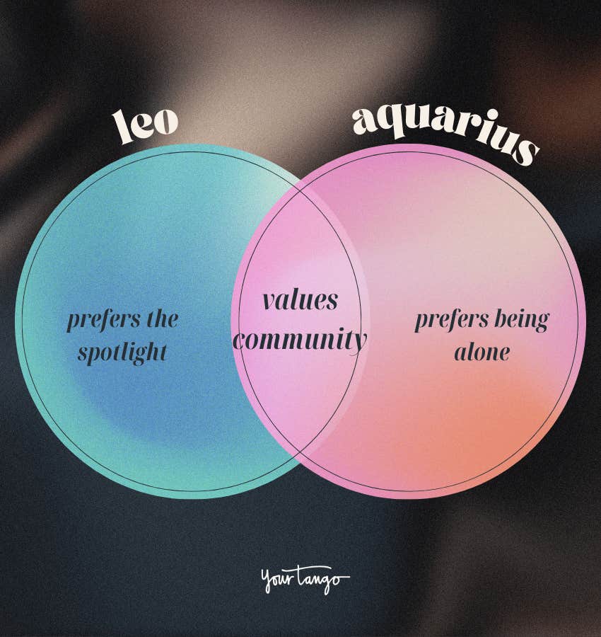 shared traits of opposite zodiac signs leo aquarius