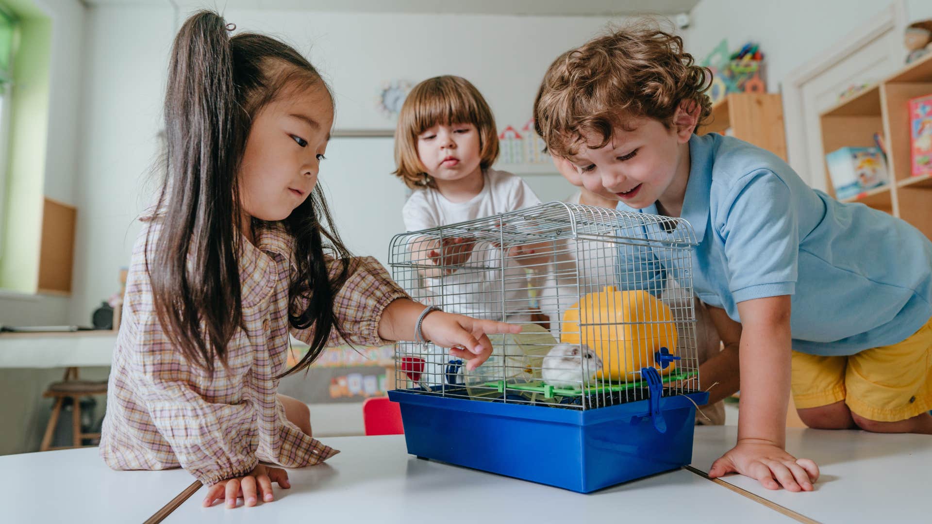 kids playing with a guinea pig in a classroom