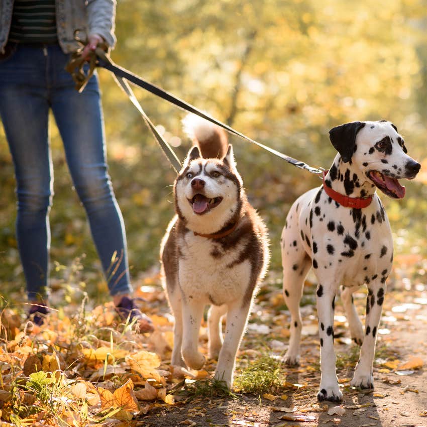 Dog mom walking two dogs