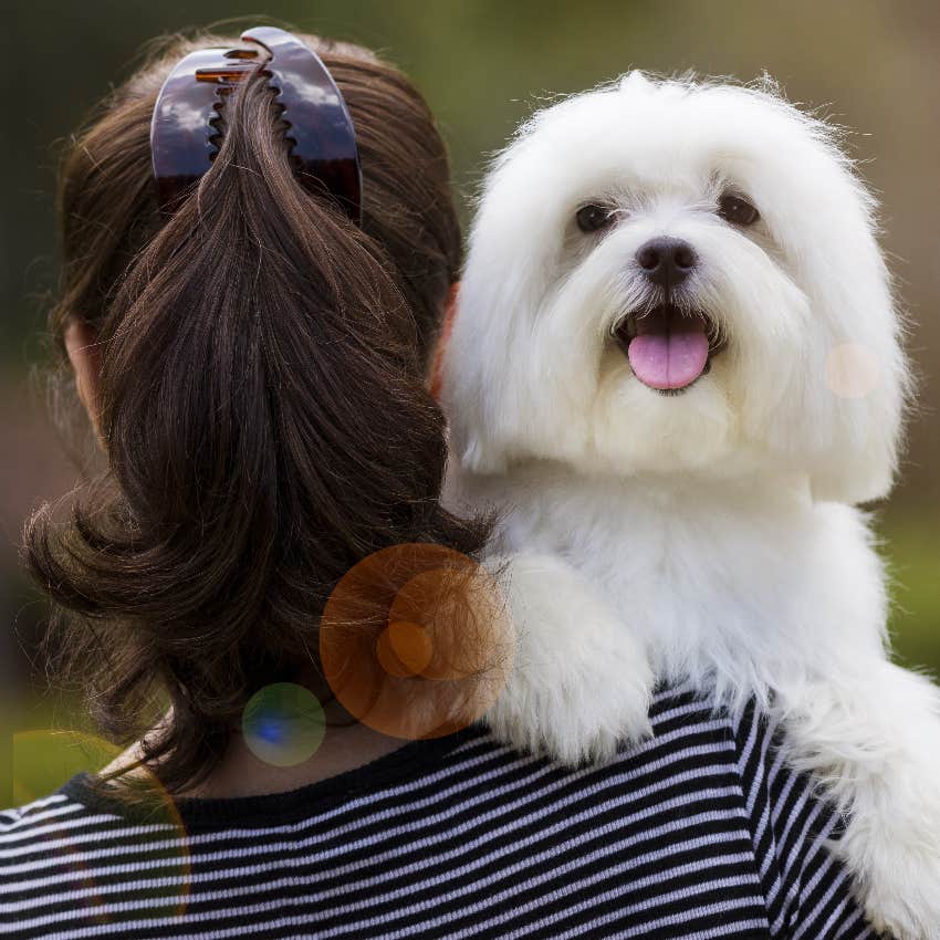 Dog sitter holding abandoned dog