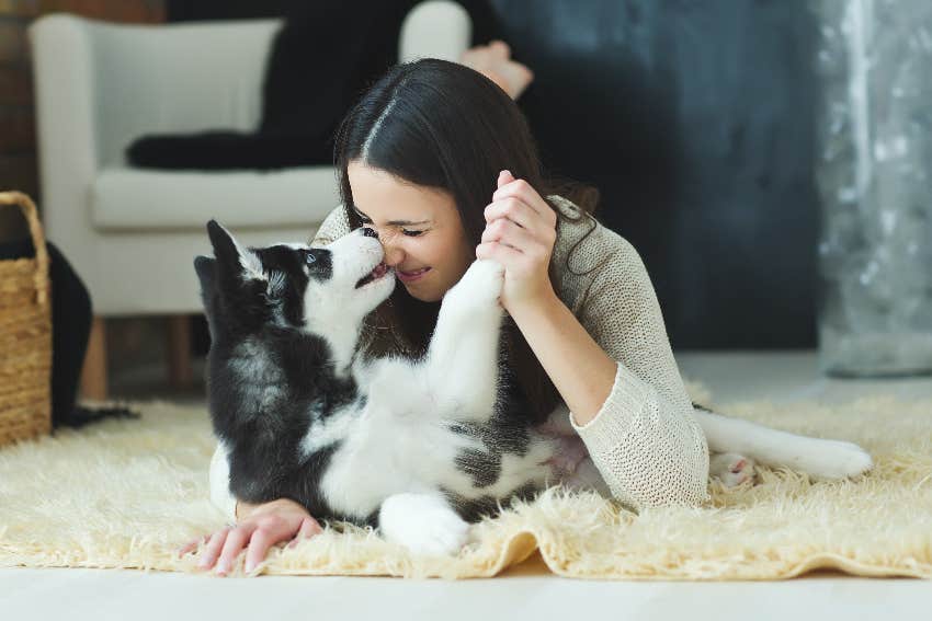 How Dogs Can Actually Sniff Out The Toxic People In Your Life, According To Research