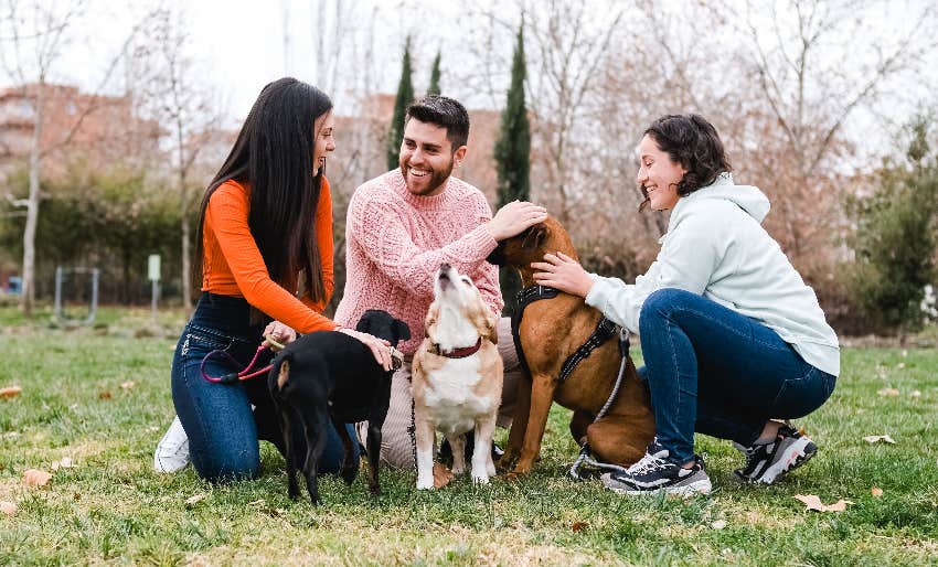 Your Dog Can Actually Sniff Out The Toxic People In Your Life, According To Research