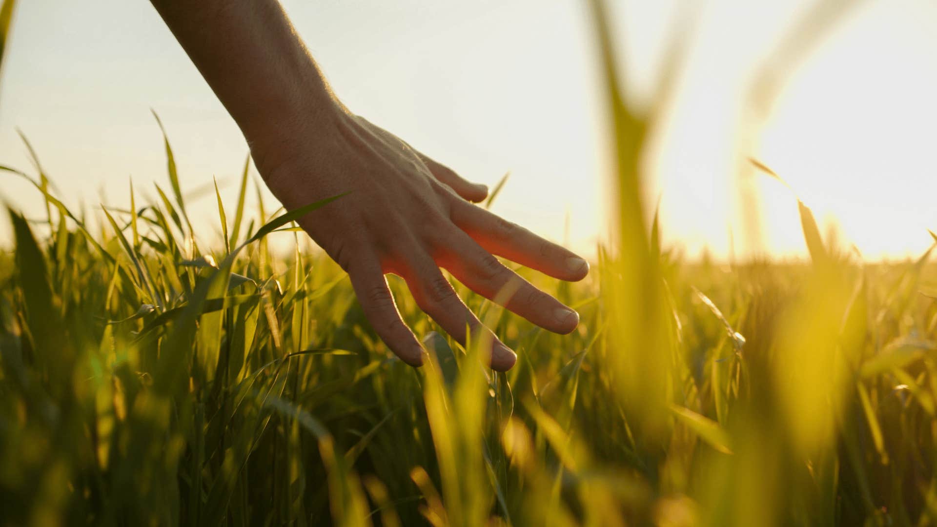 person running their hands through grass