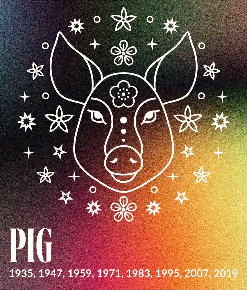 pig chinese zodiac sign january 2025 monthly horoscope