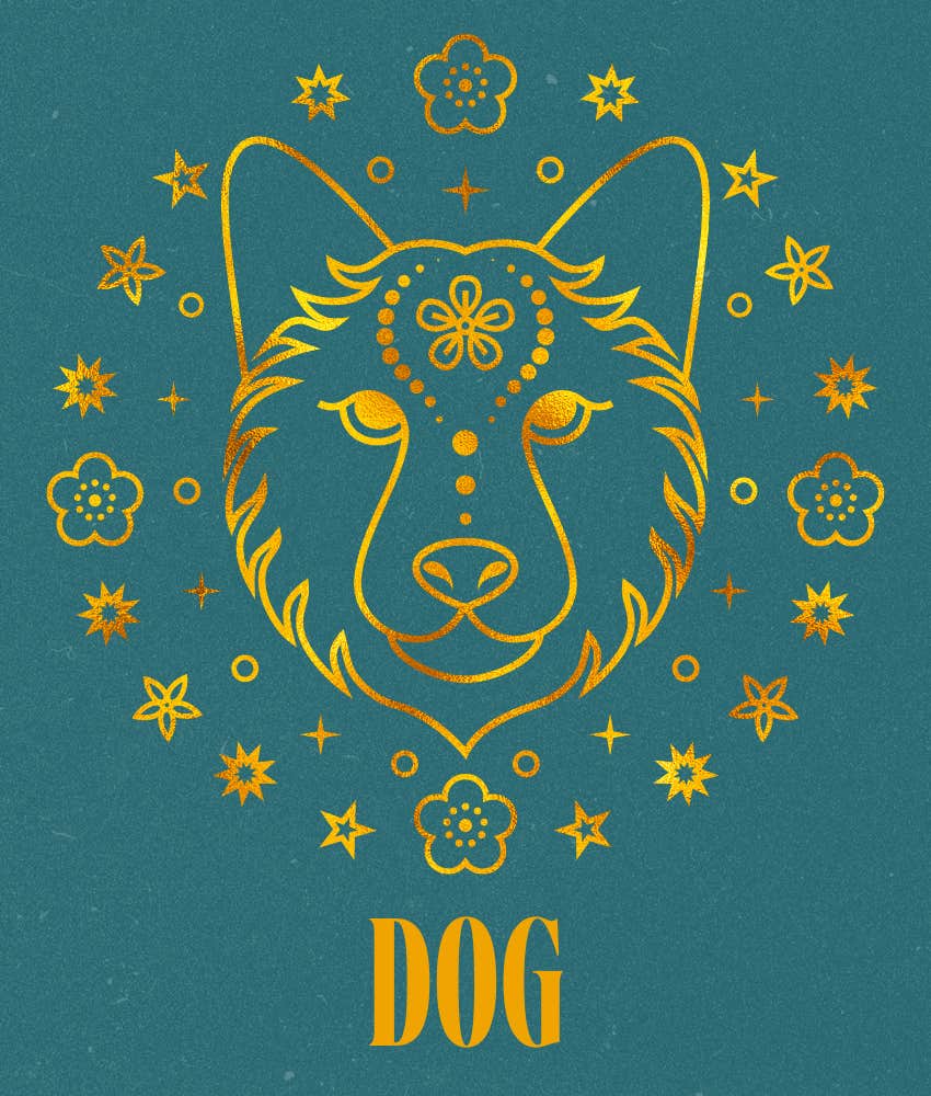 luck favors dog chinese zodiac sign december 30 - january 5