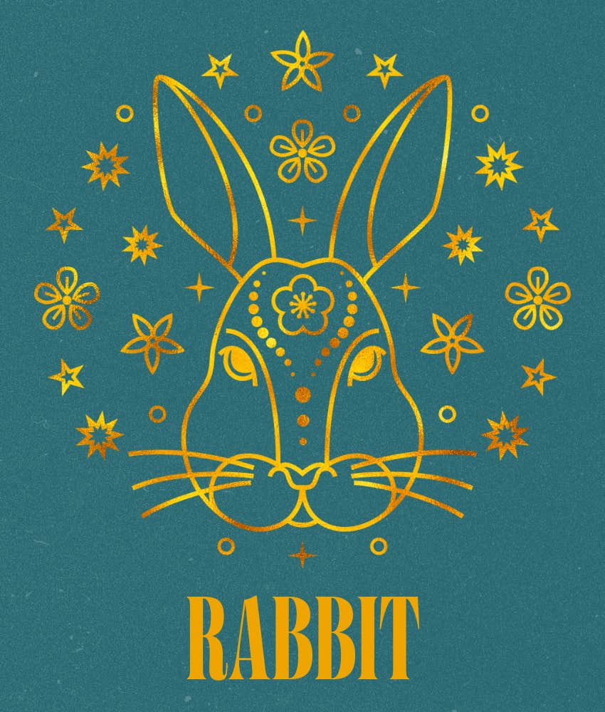 luck favors rabbit chinese zodiac sign december 30 - january 5