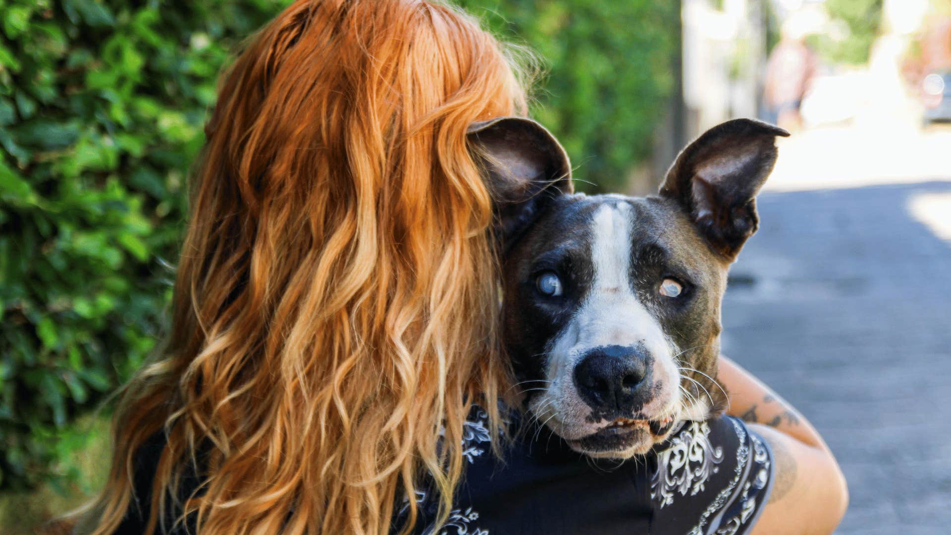 woman holding a dog