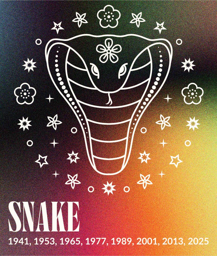 snake chinese zodiac sign lucky year snake 2025