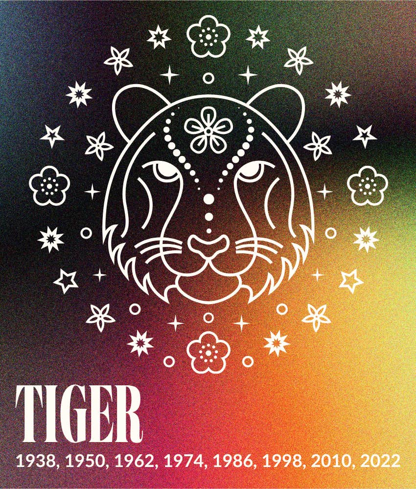 tiger chinese zodiac sign luckiest day february 2025