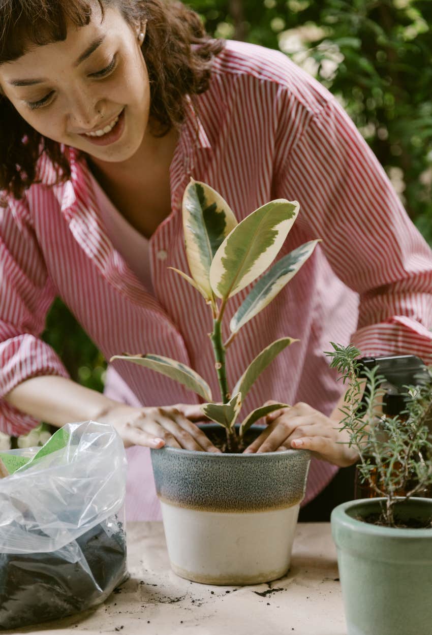 Woman gardening and repotting plants