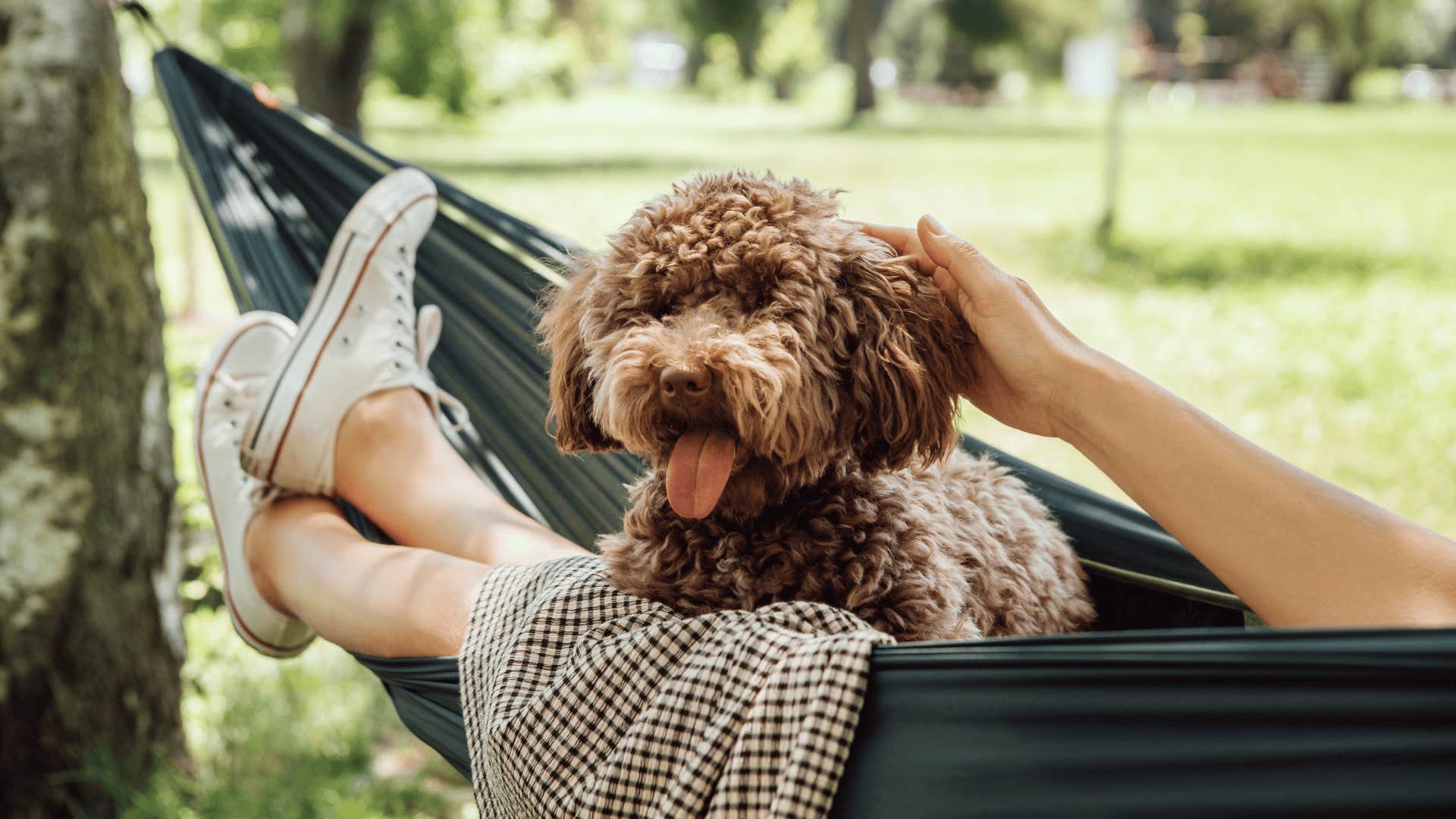 woman relaxing with her dog on a hammock