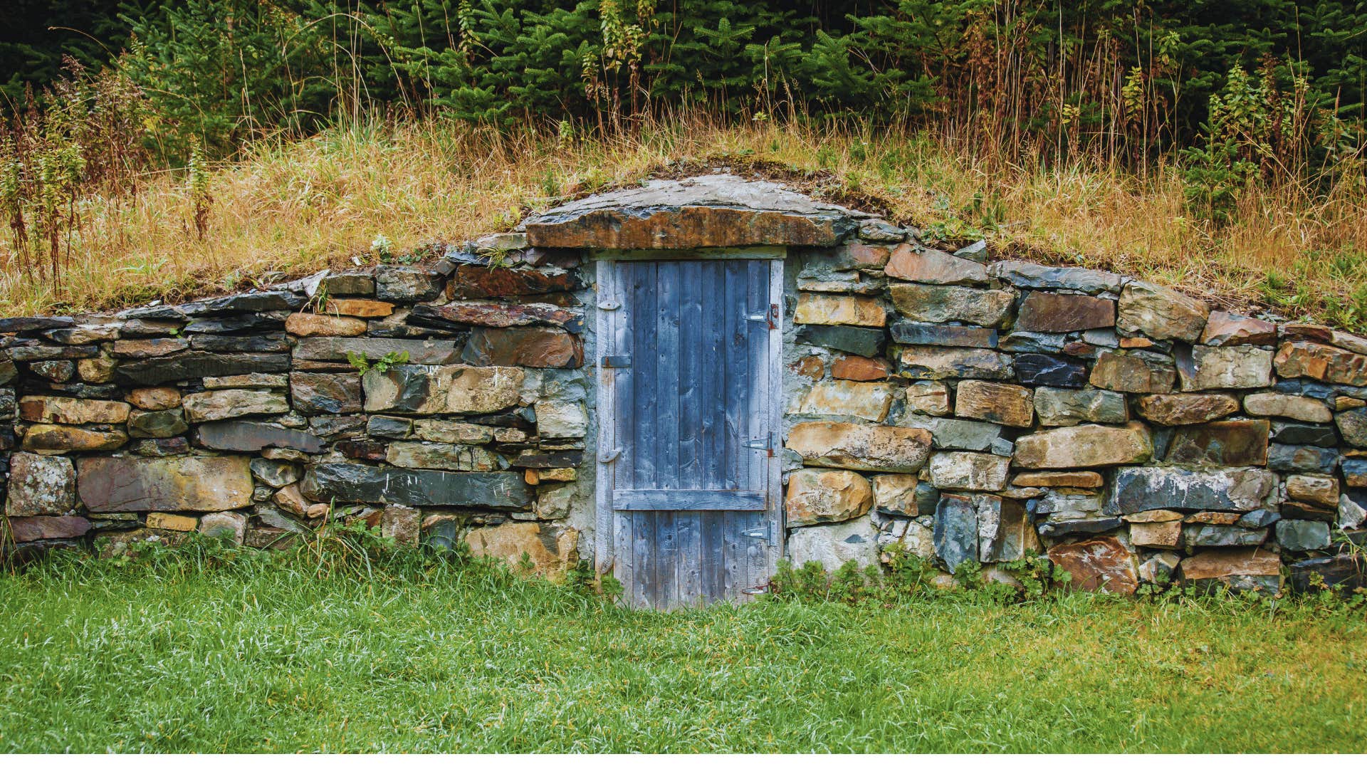 root cellar