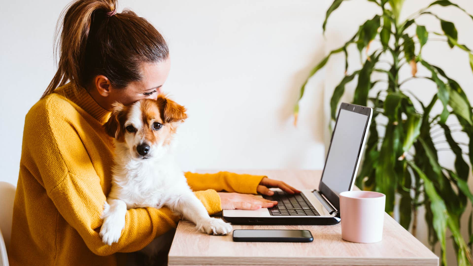 woman working on laptop with dog in lap