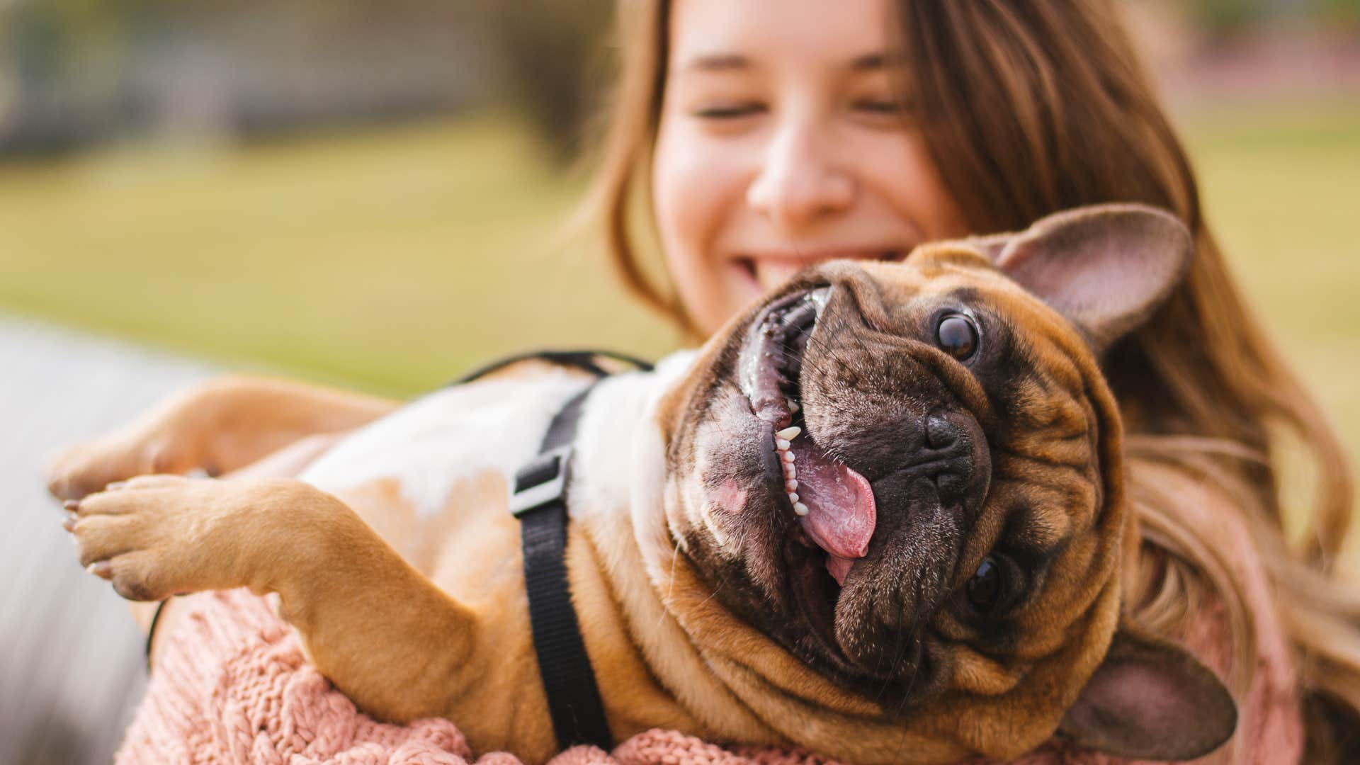 dog with owner spend a day at the park playing and having fun