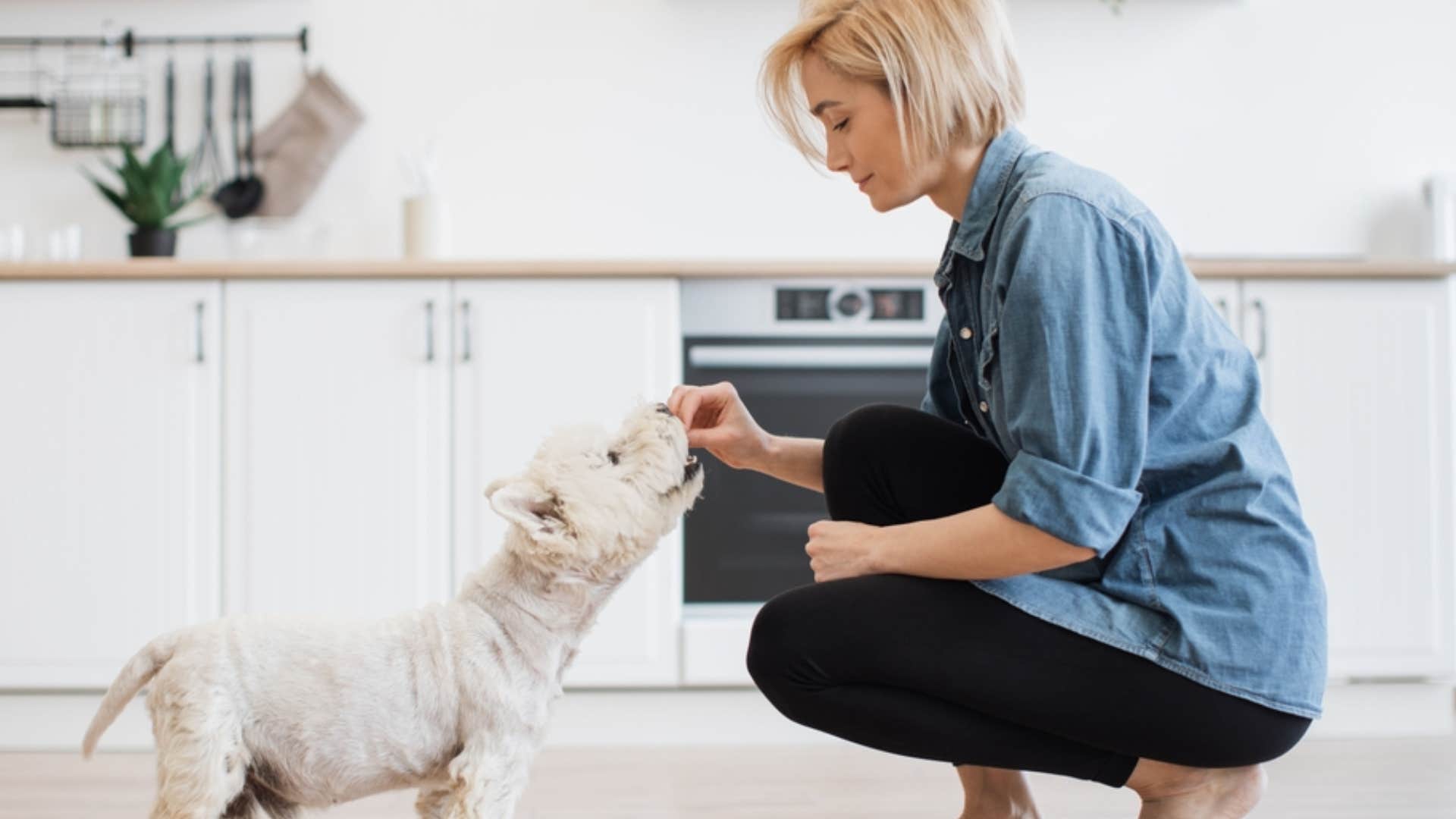 woman training dog