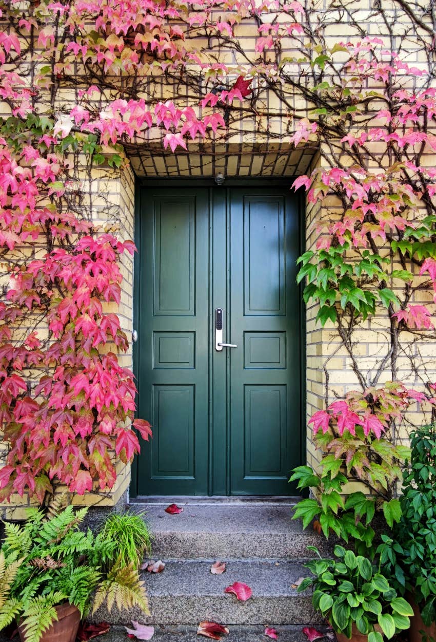 eye catching feng shui front door financial abundance